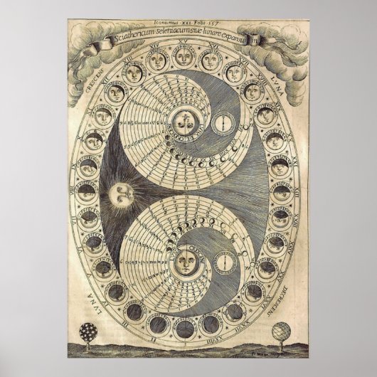 fasen van Muur Muur Muur Kunst & Accessoire Poster (Voorkant)