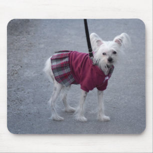 Fashionable Powderpuff Muismat