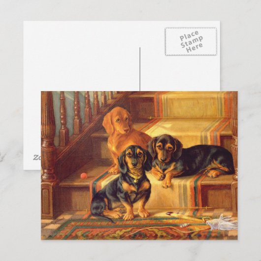 Fashionable Refinities Briefkaart (Voorkant / Achterkant)