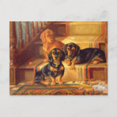 Fashionable Refinities Briefkaart (Voorkant)