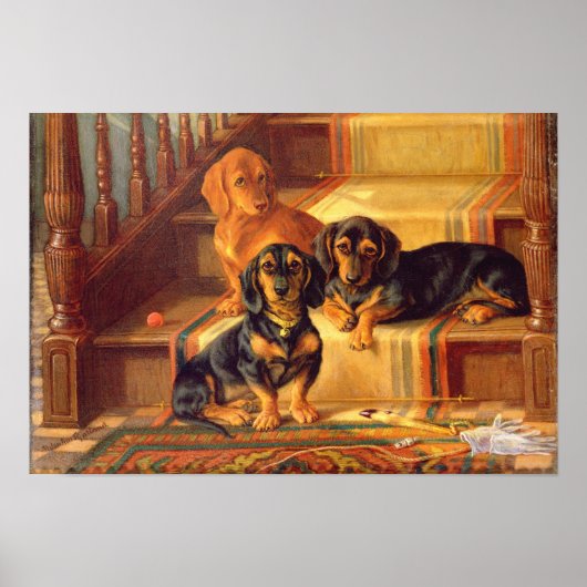 Fashionable Refinities Poster (Voorkant)