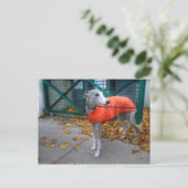 Fashionable Whippet Briefkaart (Staand voorkant)
