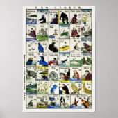 Fashionable Words in Japans & Engels Poster (Voorkant)