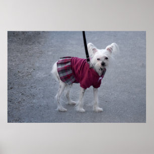 Fashionisch Powderpuff Poster