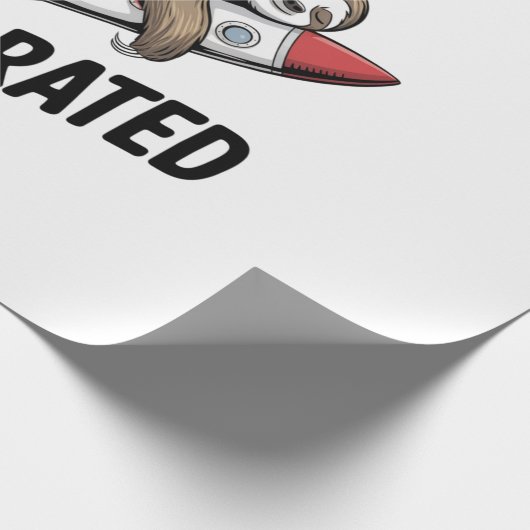 Fast is Overrated Sloth Rocket Cadeaupapier (Hoek)