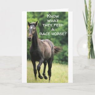***FASTFOOD VOOR HET PAARD** KRIJG WAT IK WIL OOK! KAART