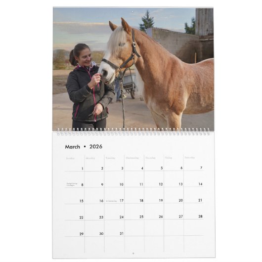 Faszination Haflinger Kalender (Mar 2026)