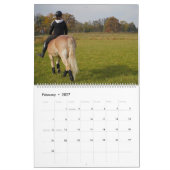 Faszination Haflinger Kalender (Feb 2027)