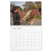 Faszination Haflinger Kalender (Jan 2026)