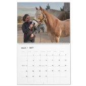 Faszination Haflinger Kalender (Mar 2027)