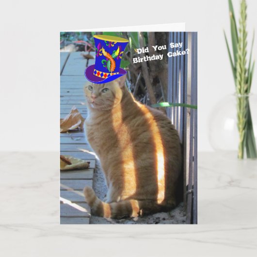 Fat Cat Funny Gevouwen Wenskaart Kaart (Voorkant)