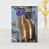 Fat Cat Funny Gevouwen Wenskaart Kaart (Gele Bloem)