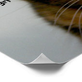 Fat Cat met Attitude, grumpy kat song Poster (Hoek)