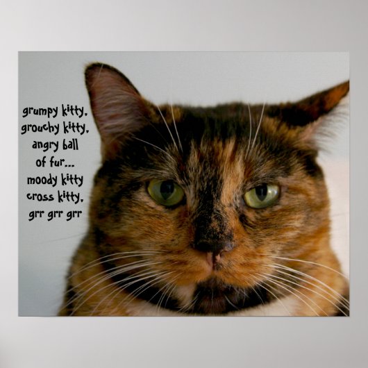 Fat Cat met Attitude, grumpy kat song Poster (Voorkant)