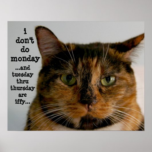 Fat Cat met Attitude, "Ik doe het maandag niet" Poster (Voorkant)
