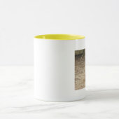 Fat chubby prairie dog mok (Midden)