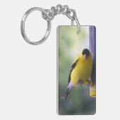 Fat Finch Sleutelhanger (Voorkant Links)