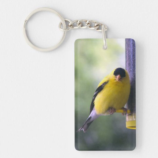 Fat Finch Sleutelhanger (Voorkant)