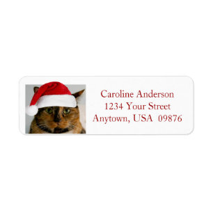 Fat Holiday Cat, Personalized Return Address Etiket