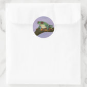 Fat Red Eyed Tree Frog Stickers (Tas)