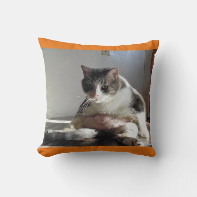 Fat Tabby Cat Foto van Pillow Kussen (Voorkant)