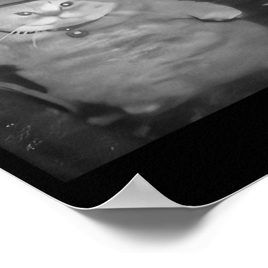 Fat Wizard Cat Fat Kitten Wizard Funny Cat Meme Br Poster (Hoek)