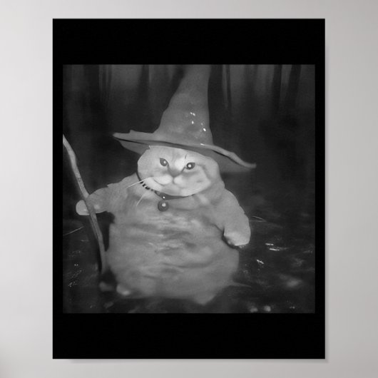 Fat Wizard Cat Fat Kitten Wizard Funny Cat Meme Br Poster (Voorkant)