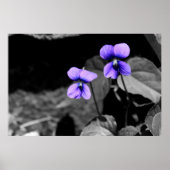Fataal Violet Poster (Voorkant)