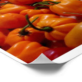 Fatalii's Chili Pepper Poster (Hoek)