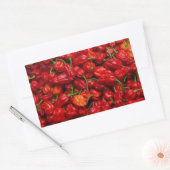 Fatalii's Chili Peppers 2 Rechthoekige Sticker (Envelop)