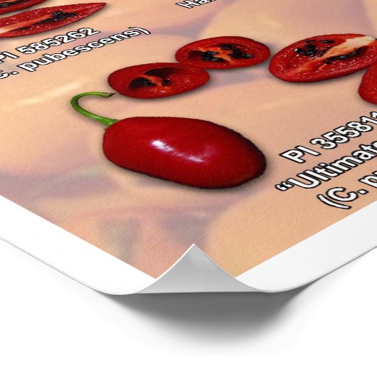 Fatalii's Split Chili Peppers! Poster (Hoek)