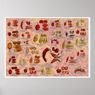 Fatalii's Split Chili Peppers! Poster