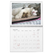 FATBOY BABUSHKA CALENDAR 2020 KALENDER (Jan 2027)