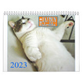 FATBOY BABUSHKA CALENDAR 2023 KALENDER (Hoes)