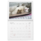 FATBOY BABUSHKA CALENDAR  KALENDER (Jan 2027)