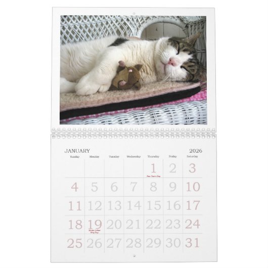 FATBOY BABUSHKA CALENDAR  KALENDER (Jan 2026)