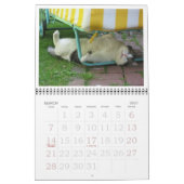 Fatboy Babushka kalender 2017 (Mar 2027)
