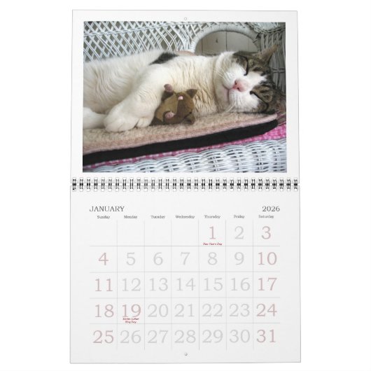 Fatboy Babushka kalender 2017 (Jan 2026)