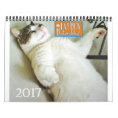Fatboy Babushka kalender 2017 (Hoes)