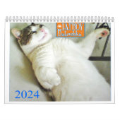 FATBOY BABUSHKA KALENDER 2024 (Hoes)