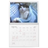 FATBOY BABUSHKA KALENDER 2024 (Feb 2027)