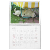 FATBOY BABUSHKA KALENDER 2024 (Mar 2026)