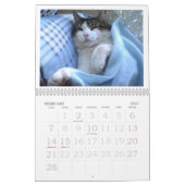 FATBOY BABUSHKA KALENDER 2025 (Feb 2027)