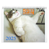 FATBOY BABUSHKA KALENDER 2025 (Hoes)