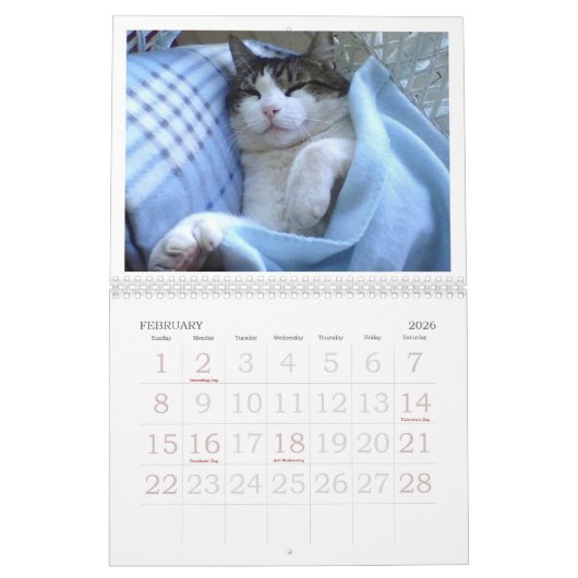 FATBOY BABUSHKA KALENDER 2025 (Feb 2026)