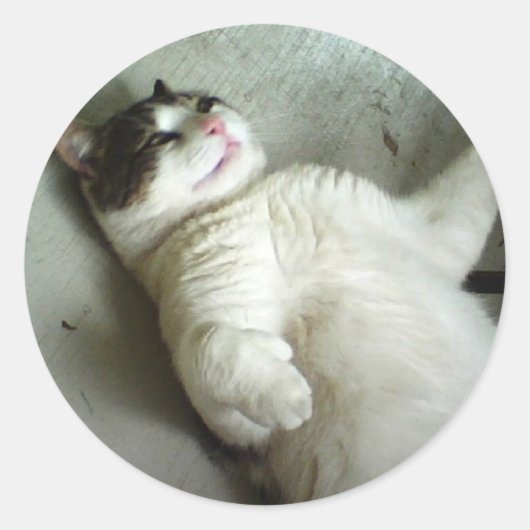 FATBOY LYING DOWN STICKERS (Voorkant)