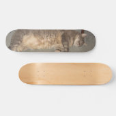 FatCat Board Skateboard (Horizontaal)