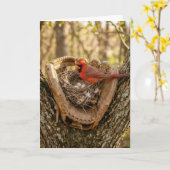 Father's Day Cardinal Nest in a Baseball Glove Kaart (Gele Bloem)