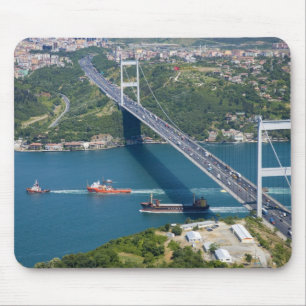 Fatih Sultan Mehmet-brug over de Bosporus, Muismat