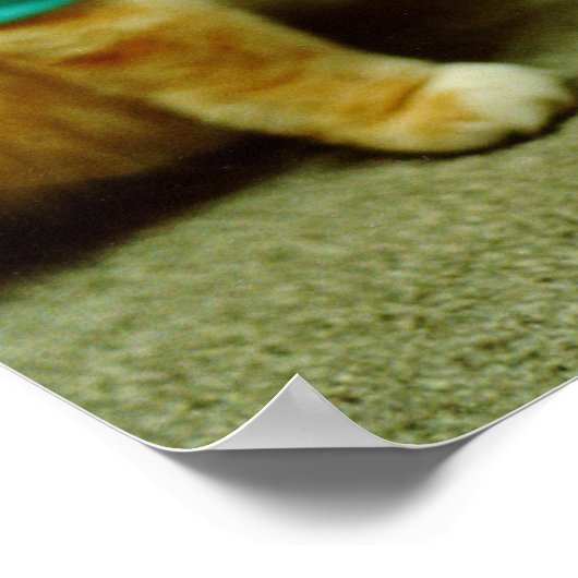 Fatso, Original Keyboard Cat 1984 Poster (Hoek)